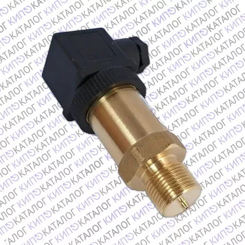 Изображение товара - Преобразователь избыточного давления "Пульсар" ПДТВХ-1-02, ТЕПЛОВОДОХРАН